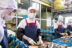 慘劇連連 在日本遇害的兩名中國研修生,到底經(jīng)歷了什么