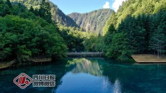 多彩貴州網 美到窒息 記者實地探訪震后兩年的九寨溝,諾日朗瀑布更加壯觀