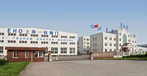 百萬千瓦級壓水堆核電廠核安全二級電動閘閥 截止閥等產品鑒定會順利召開