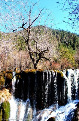 九寨風(fēng)光若日朗瀑布圖片